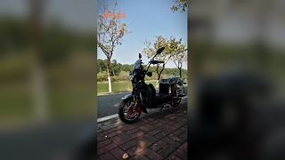 2000W  Seater Electric Motorcycle Snow Tires