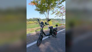 Black Warrior Ebike Powerful 1000W Cargo Bike Europe