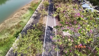 1000W Electric Bike Max Speed 50kmh All Season Tires