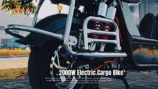 2000W Electric Cargo Bike Super Range