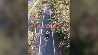 2000W Electric Motorcycle Powerhouse For Urban Travel