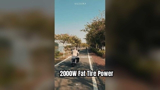 2000W Electric Scooter Fat Tire Powerhouse