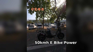 50kmh E-Bike 1000W Brushless Motor Hydraulic Brakes