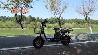 1000W E-Bike 50kmh Hydraulic Brakes