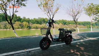 Iron Frame Gen  Electric Bike 50kmh Top Speed
