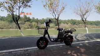 1000W Ebike Food Delivery Powerhouse