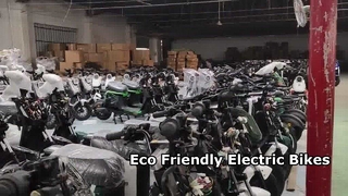 Company Presentation