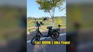 Fast 1000W E-bike Cargo Bike Urban Commute