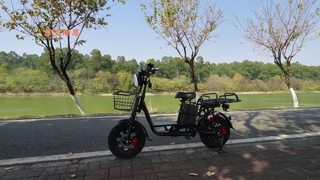 1000W Electric Bike Urban Commute Powerhouse